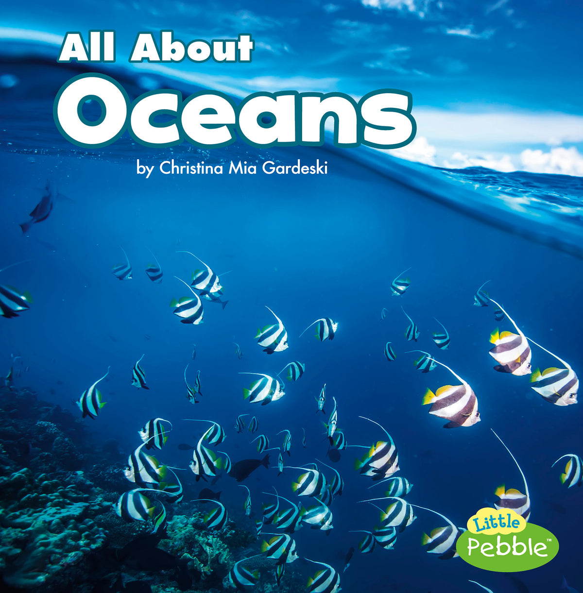 All About Oceans