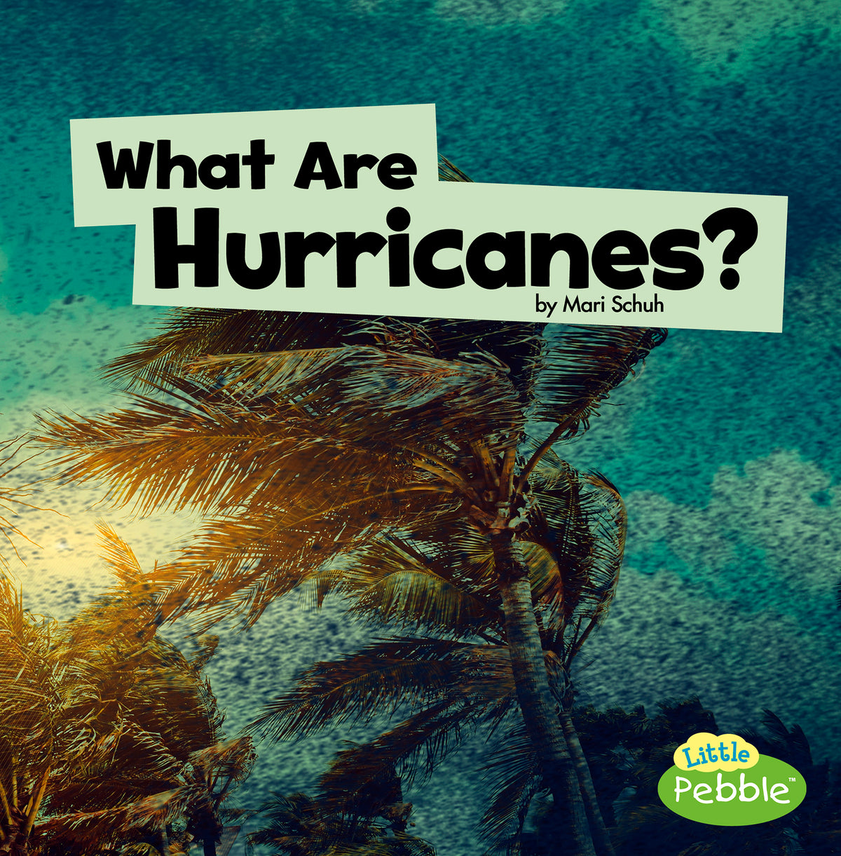 What Are Hurricanes?