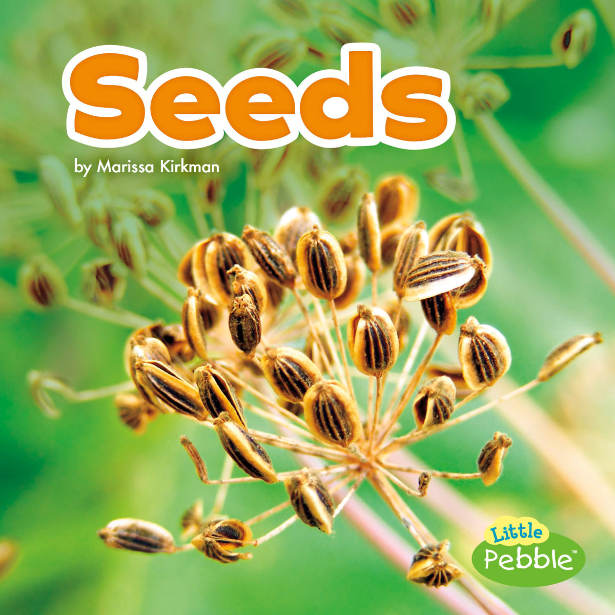 Seeds