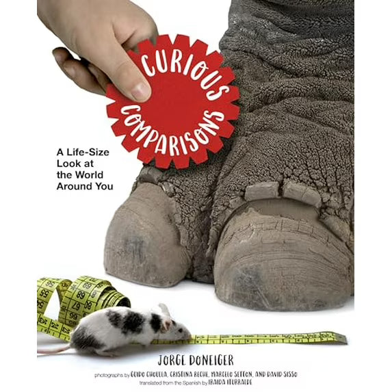 Curious Comparisons: A Life-Size Look at the World Around You