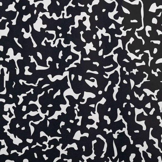 Schoolgirl Style Bulletin Board Paper, Senior Year, 47.25" x 50', 1 Roll