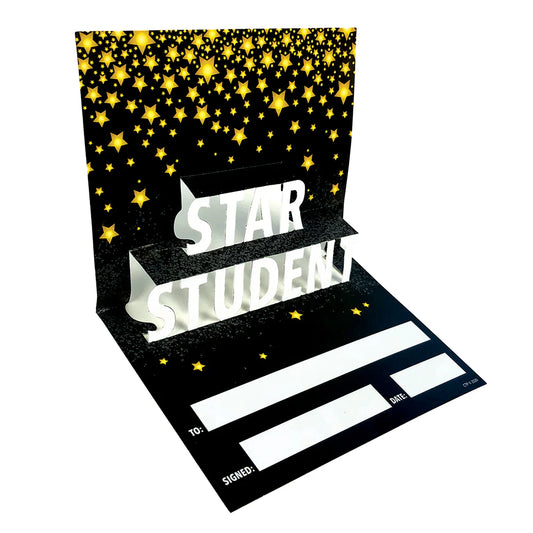 3D Pop Star Student Award