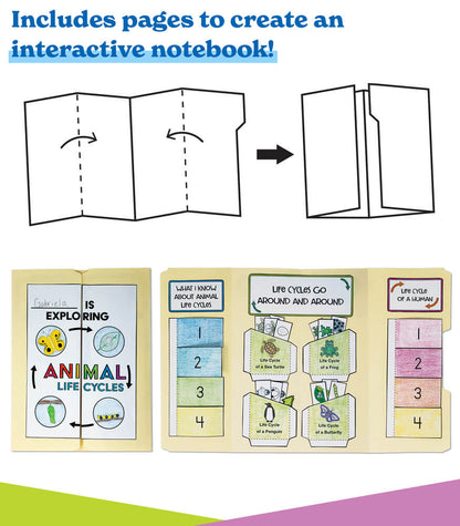 In a Flash: Animal Life Cycles Flash Drive Grade K-2
