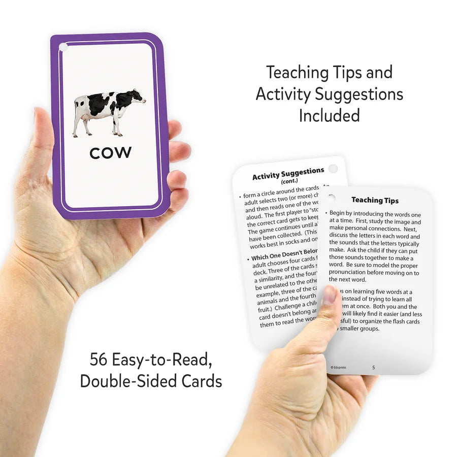 Picture Words Flash Cards