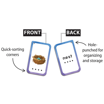 Decoding Words Flash Cards