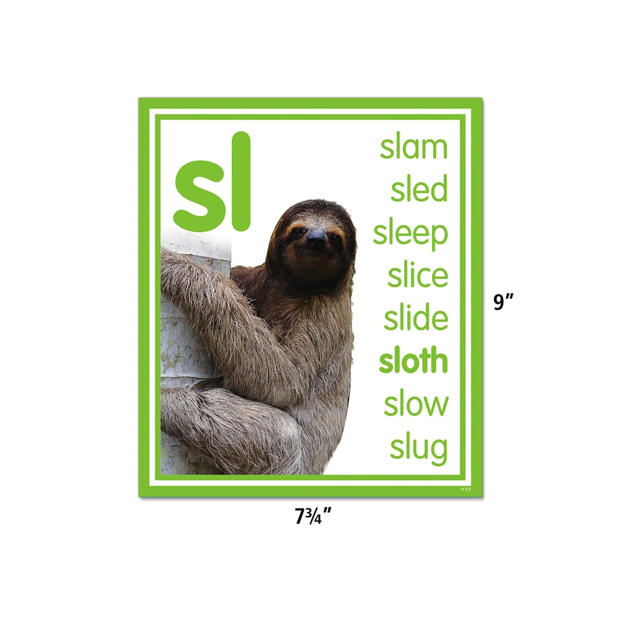Colorful Photo Cards Digraphs and Blends Bulletin Board