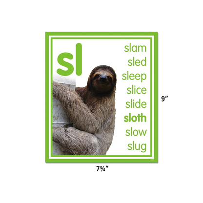 Colorful Photo Cards Digraphs and Blends Bulletin Board
