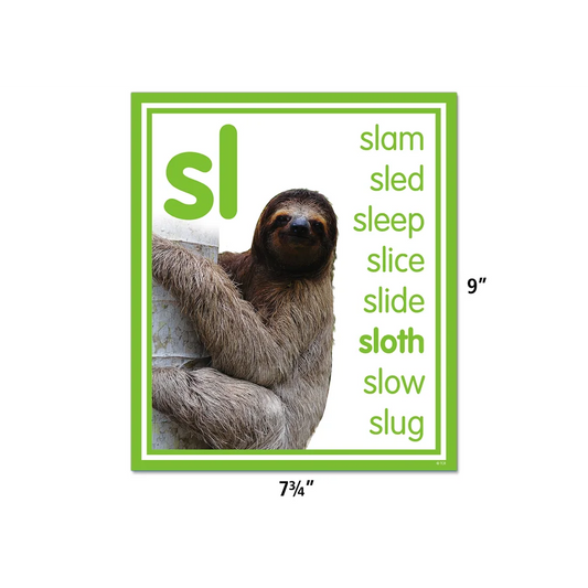 Colorful Photo Cards Digraphs and Blends Bulletin Board