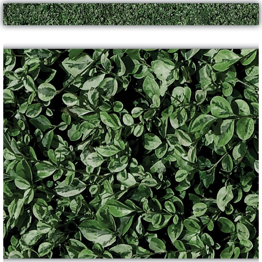 Modern Farmhouse Boxwood Straight Border