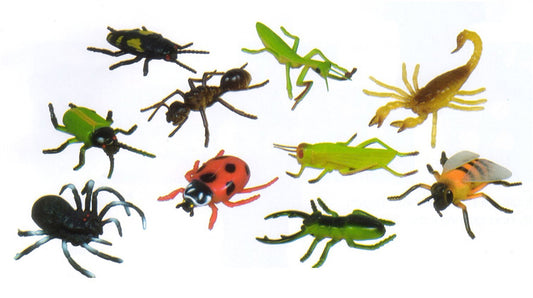 Insects Playset