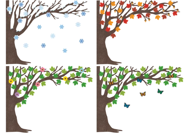 Tree for All Seasons Bulletin Board