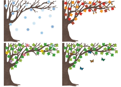Tree for All Seasons Bulletin Board