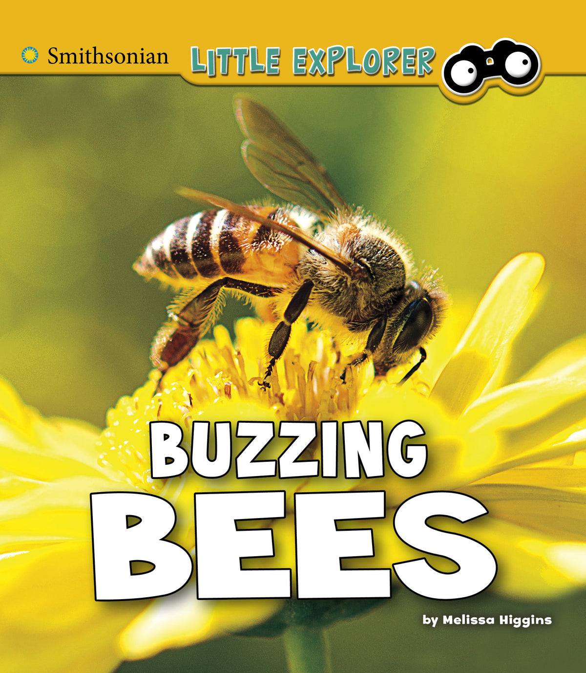 Buzzing Bees: A 4D Book