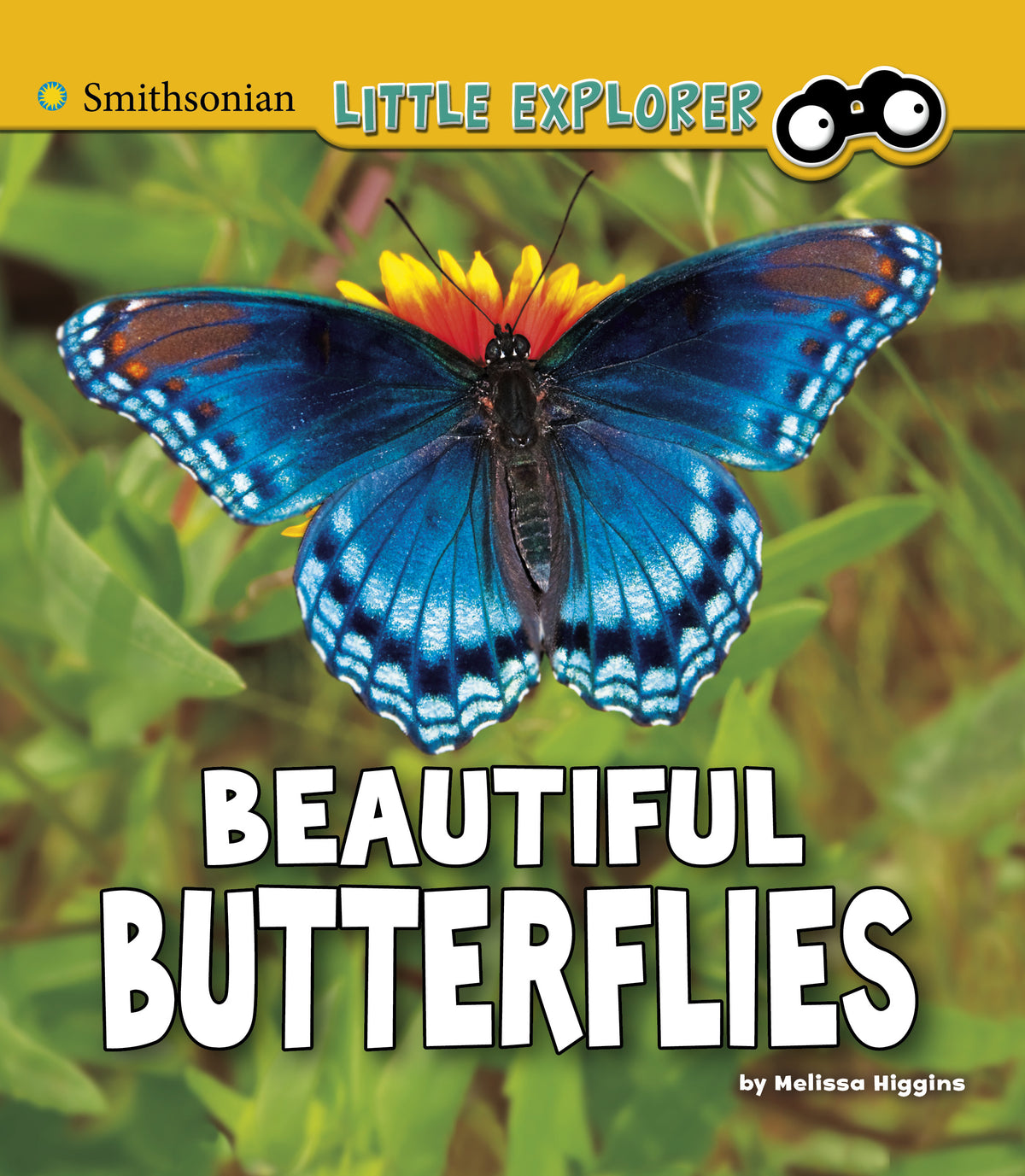 Beautiful Butterflies: A 4D Book