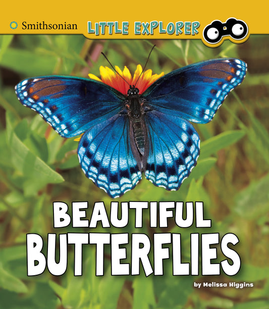 Beautiful Butterflies: A 4D Book