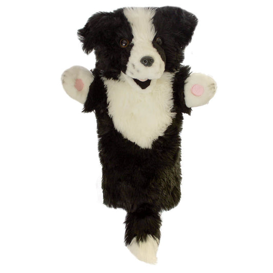 Border Collie – Long-Sleeved
