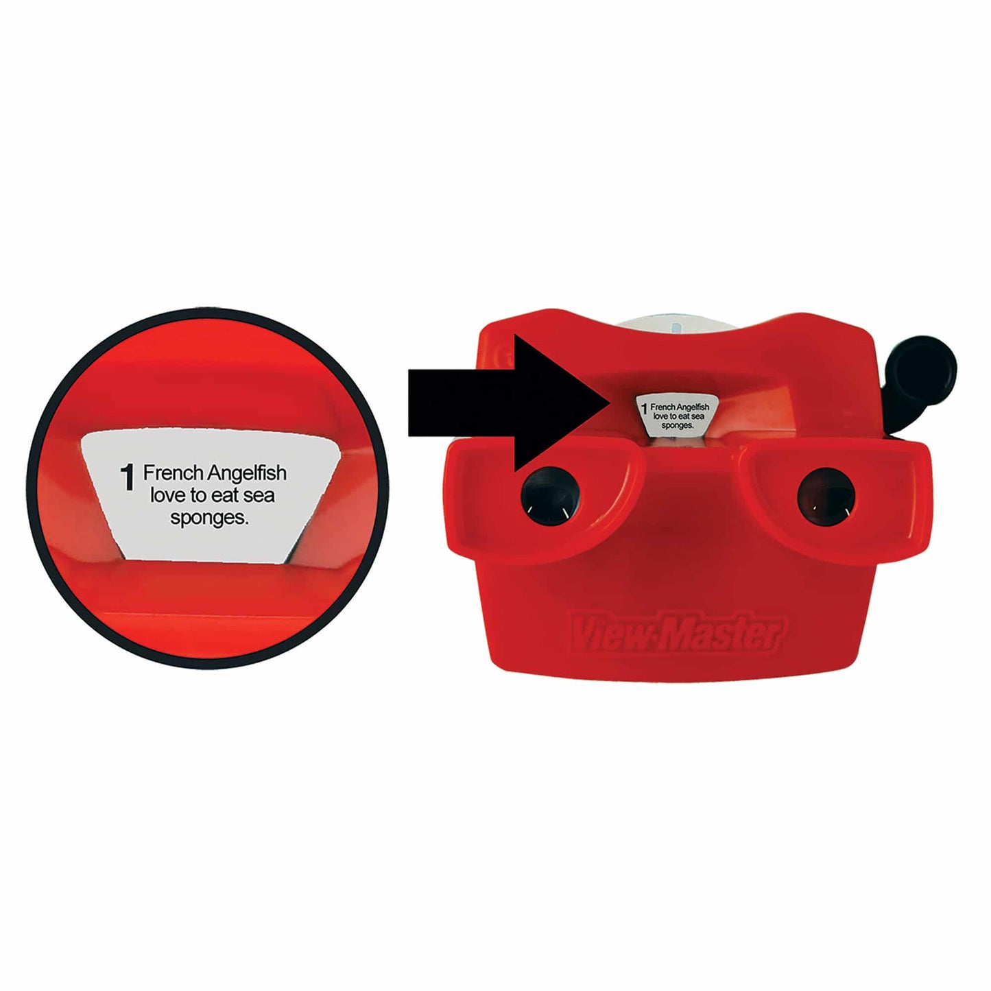 Discovery View-Master