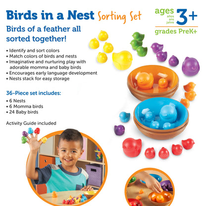 Birds in a Nest Sorting Set