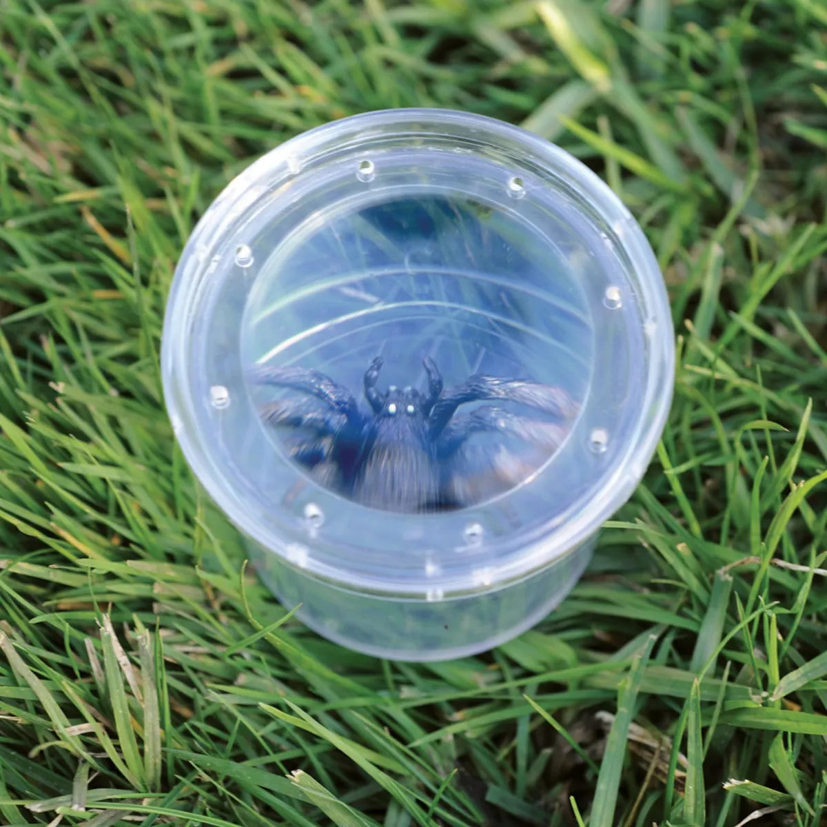 GeoSafari® Bug Viewer