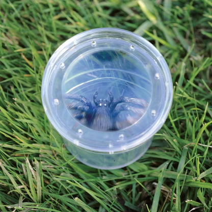 GeoSafari® Bug Viewer