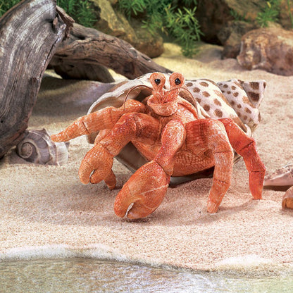 Hermit Crab Puppet